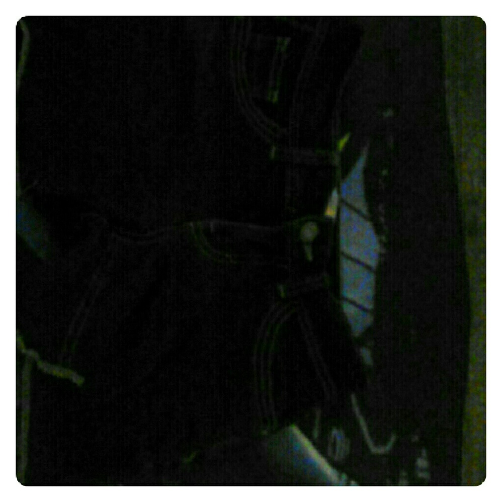 No boundaries shorts 25$ was 16.10
